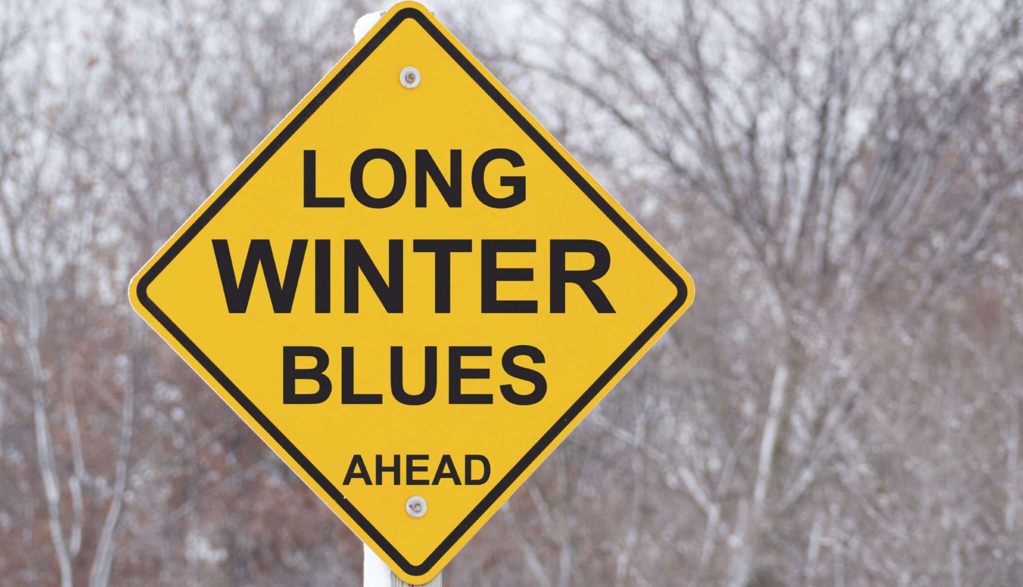 Pace Winter Blues Sign scaled 1